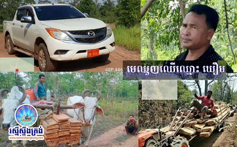 សកម្មភាព​ដឹកជញ្ជូន​ឈើ​ចេញ​ពី​ព្រៃ​អ​វរ​ក្ស​គូលែន​ព្រហ្ម​ទេព នៅតែ​បន្ត​កើតមាន ខណៈ​បទបញ្ជា​លោក គៀ​ម រិទ្ធី ចៅហ្វាយខេត្ត​ព្រះវិហារ មិន​មាន​ប្រសិទ្ធភាព