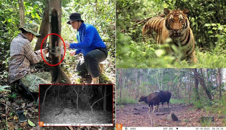 ក្រសួង​បរិស្ថាន គ្រោង​នឹង​បំពាក់​កាំ​មេ​រ៉ា​បន្ថែម នៅ​តំបន់​ជួរ​ភ្នំក្រវាញ ដើម្បី​តាមដាន​វត្ត​មាន​សត្វព្រៃ និង​ពិនិត្យមើល​ចំណី​របស់​សត្វ​ខ្លាធំ