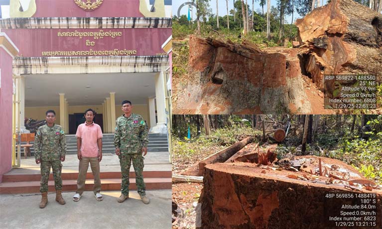 ឃាត់ខ្លួន​ជនសង្ស័យ​បាន​ម្នាក់ ករណី​កាប់​រម្លំ​ដើម​ឈើទាល​ធំៗ នៅ​ខេត្ដ​ស្ទឹងត្រែង​