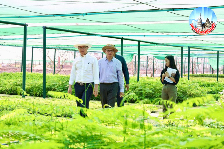 ​ឯកឧត្តម​បណ្ឌិត អ៊ាង សុផល្លែត រដ្ឋមន្ត្រី​ក្រសួង​បរិស្ថាន អញ្ជើញ​ចុះ​ពិនិត្យ​វឌ្ឍនភាព​ស្នាក់ការ​និង​ថ្នាល​បណ្តុះ​កូនឈើ​ថ្នាក់​តំបន់​ទី​១ ក្នុងភូមិ​៤៤ ឃុំ​ព្រះ​ធាតុ ស្រុក​អូររាំង​ឳ ខេត្ត​ត្បូងឃ្មុំ​
