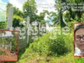 បែកធ្លាយ​ឯកសារ​រៀបចំ​ជា​ប្រព័ន្ធ​ធ្វើ​ស៊ី​ដី​លើ​ភ្នំ​ក្រាំង​ដី​មាស​ធ្វើ​កម្មសិទ្ធិ ពី​សំណាក់​អាជ្ញាធរ​ស្រុក​រលាប្អៀរ ខេត្ត​កំពង់ឆ្នាំង​